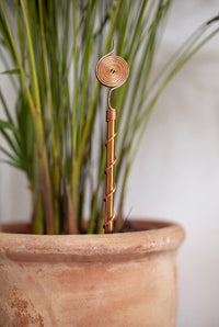 Kopero Electrocultivo 30 cm, antena de cobre en una maceta de terracota con hierba ornamental