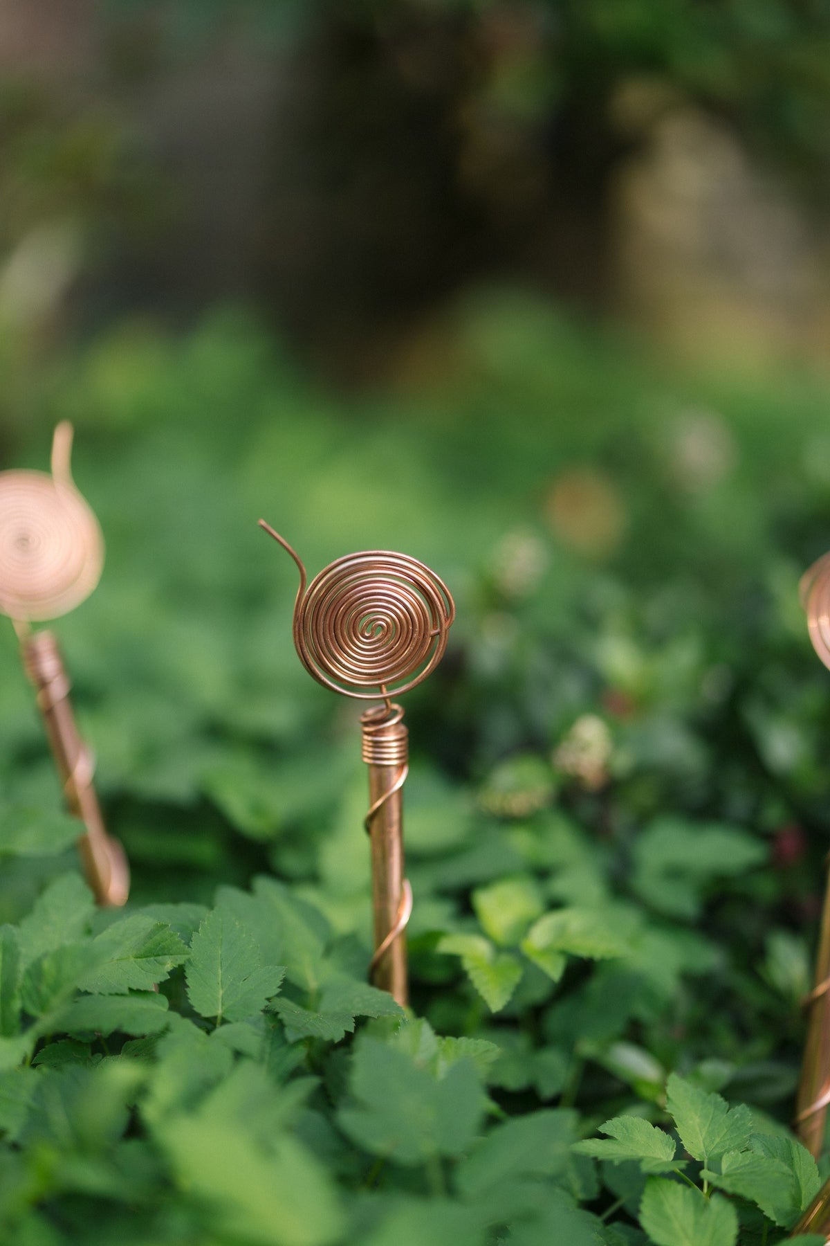 Electrocultivo Kopero 30 cm, una antena en un parterre entre plantas verdes