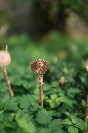 Electrocultivo Kopero 30 cm, una antena en un parterre entre plantas verdes