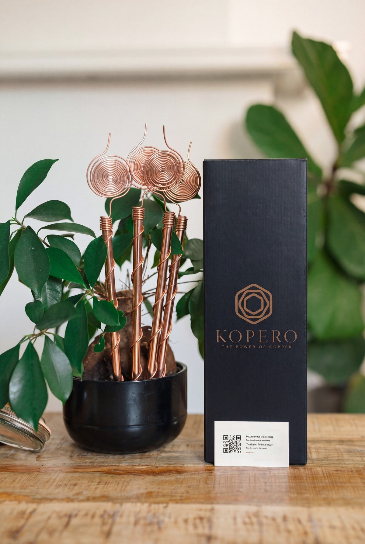 Electrocultivo Kopero 30 cm, con la caja Kopero negra, junto a una planta de interior