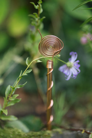 Electrocultivo Kopero 30 cm, con una ramita alrededor de la espiral de cobre en una jardinera