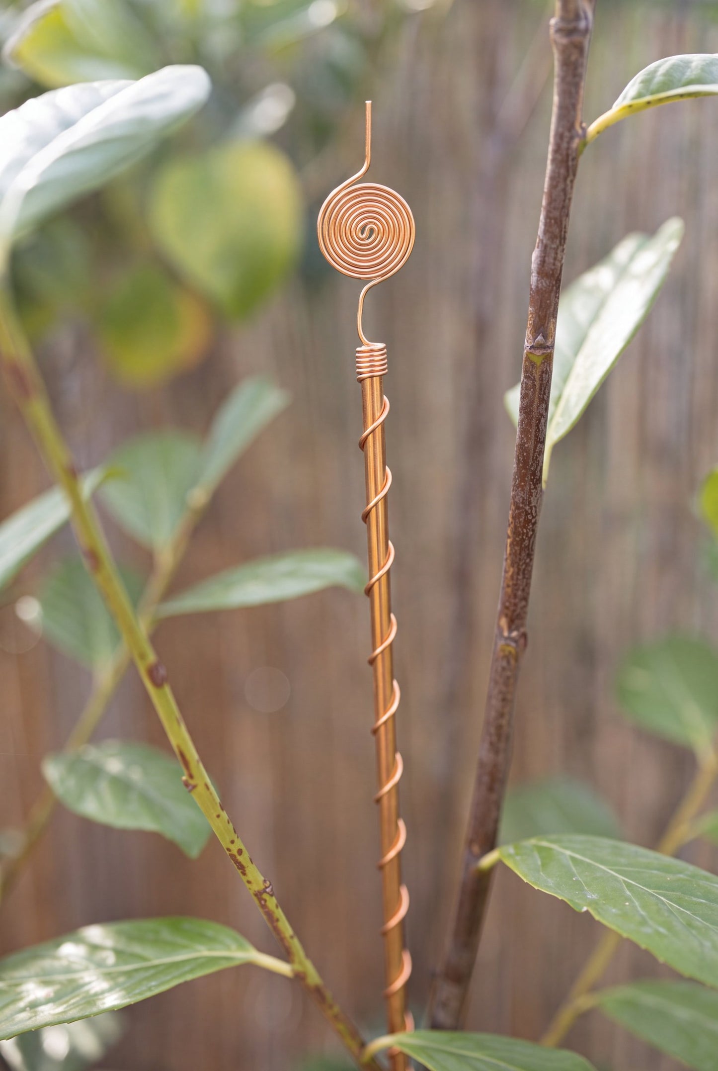 Kopero Electrocultivo 60 cm, antena de cobre junto a una planta trepadora en el jardín