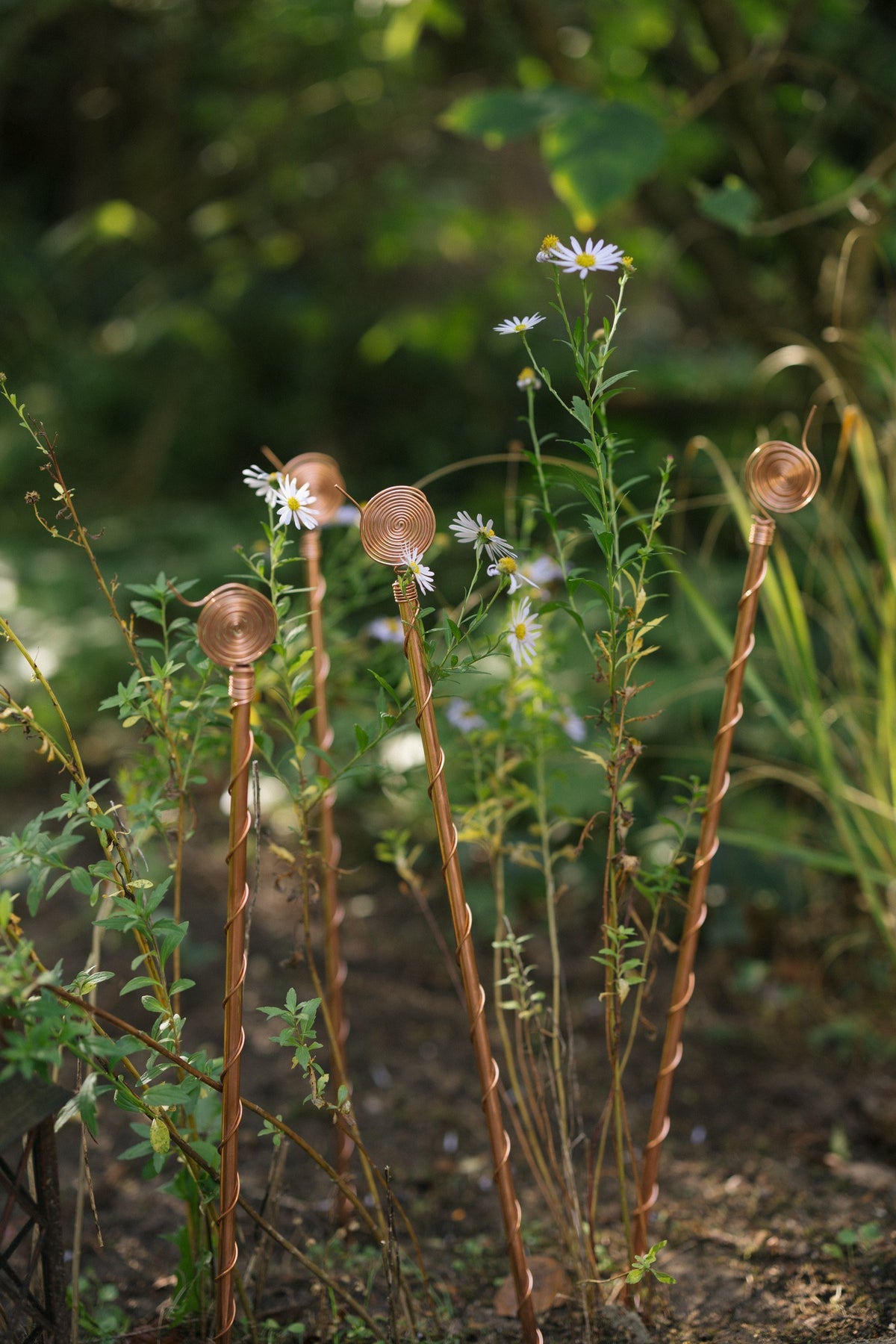 Electrocultivo Kopero 60 cm, tres antenas en un parterre con astros