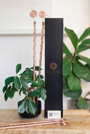 Electrocultivo Kopero 60 cm, con la caja Kopero negra y una planta de interior