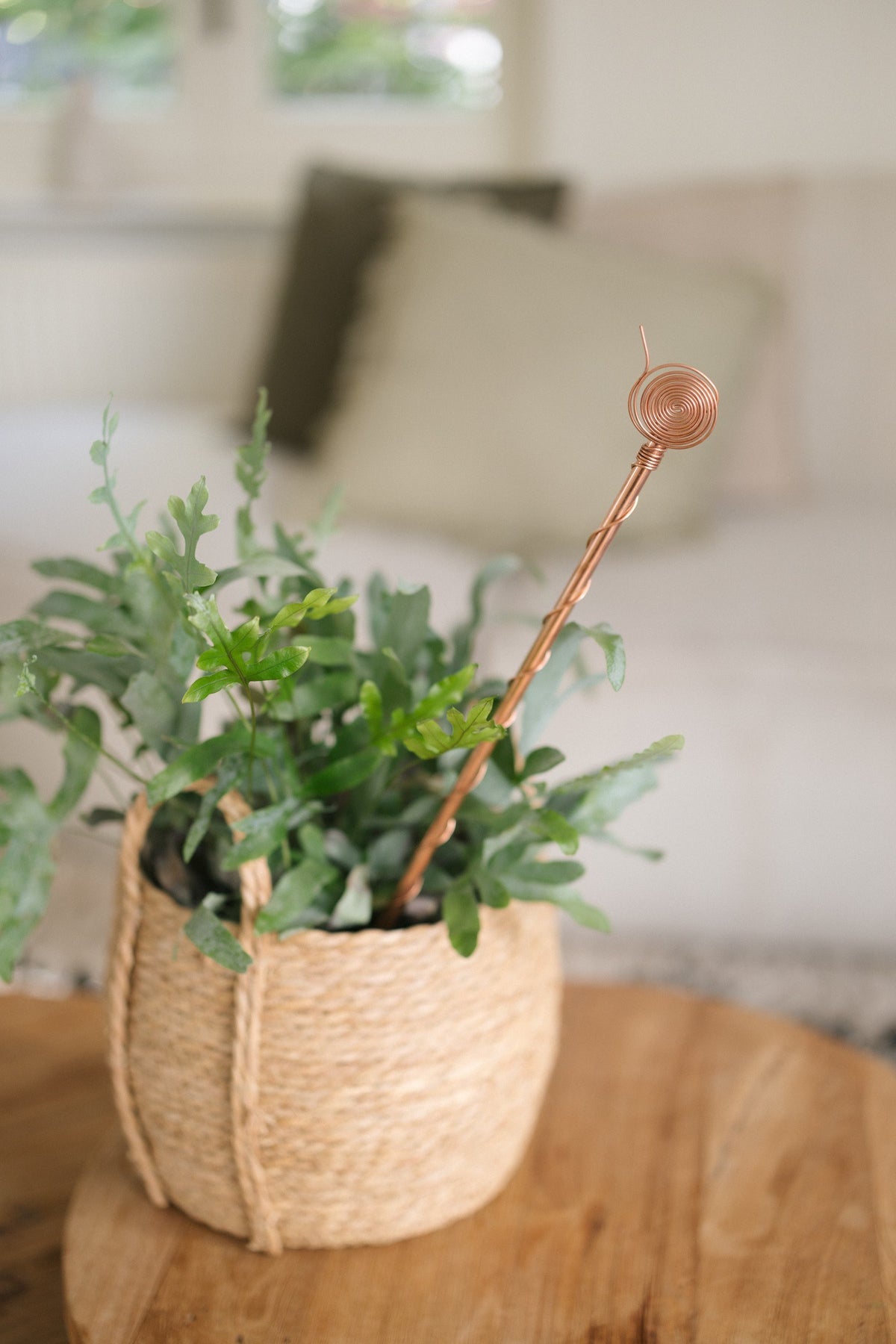 Electrocultivo Kopero 60 cm, en una cesta de mimbre con una planta de interior
