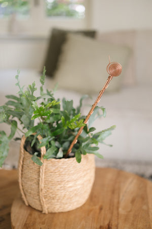Electrocultivo Kopero 60 cm, en una cesta de mimbre con una planta de interior
