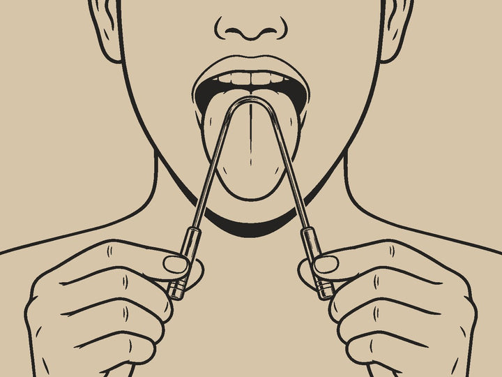 Empieza por la parte de atrás de la lengua